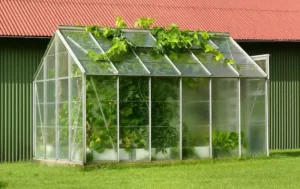 greenhouse