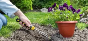 Gardening Ideas