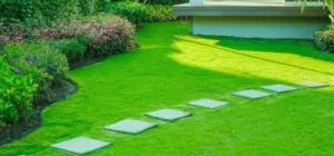 Landscaping And Garden Care