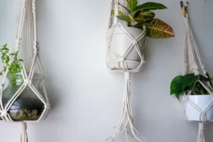 Macrame Plant Hangers